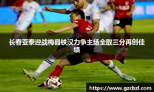 米兰(milan)官网